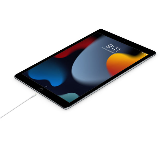 USB-C to Lightning Cable (1m)